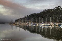 Morro Bay State Park Marina