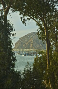 Morro Rock