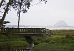 Sweet Springs in Los Osos