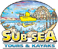 Sub Sea Tours